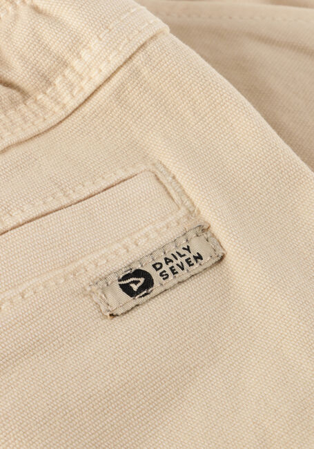 Beige DAILY7 Kurze Hose CANVAS CARGO SHORTS - large
