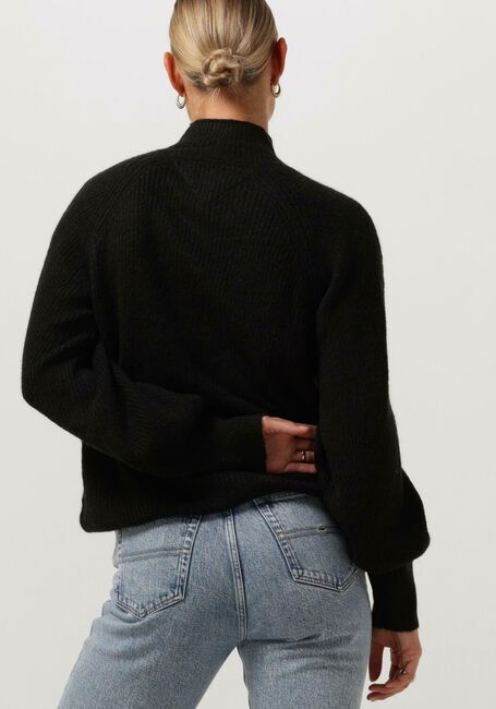 Schwarze TOMMY JEANS Rollkragenpullover TJW RLX TURTLENECK LOFTY SWEATER - large