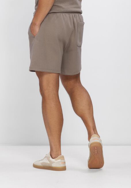 Braune TOMMY JEANS Kurze Hose TJM S FLAG BEACH SHORT EXT - large