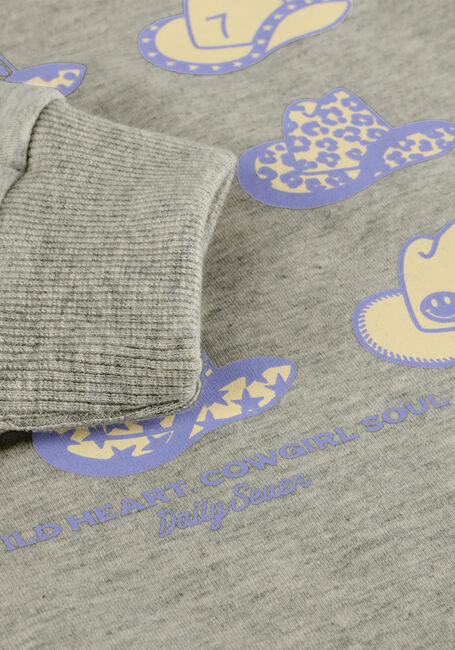 Hellgrau DAILY7 Sweatshirt SWEATER BACKPRINT - large