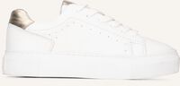 Weiße PS POELMAN Sneaker Low TITULAR Weiße PS POELMAN Sneaker Low TITULAR - medium