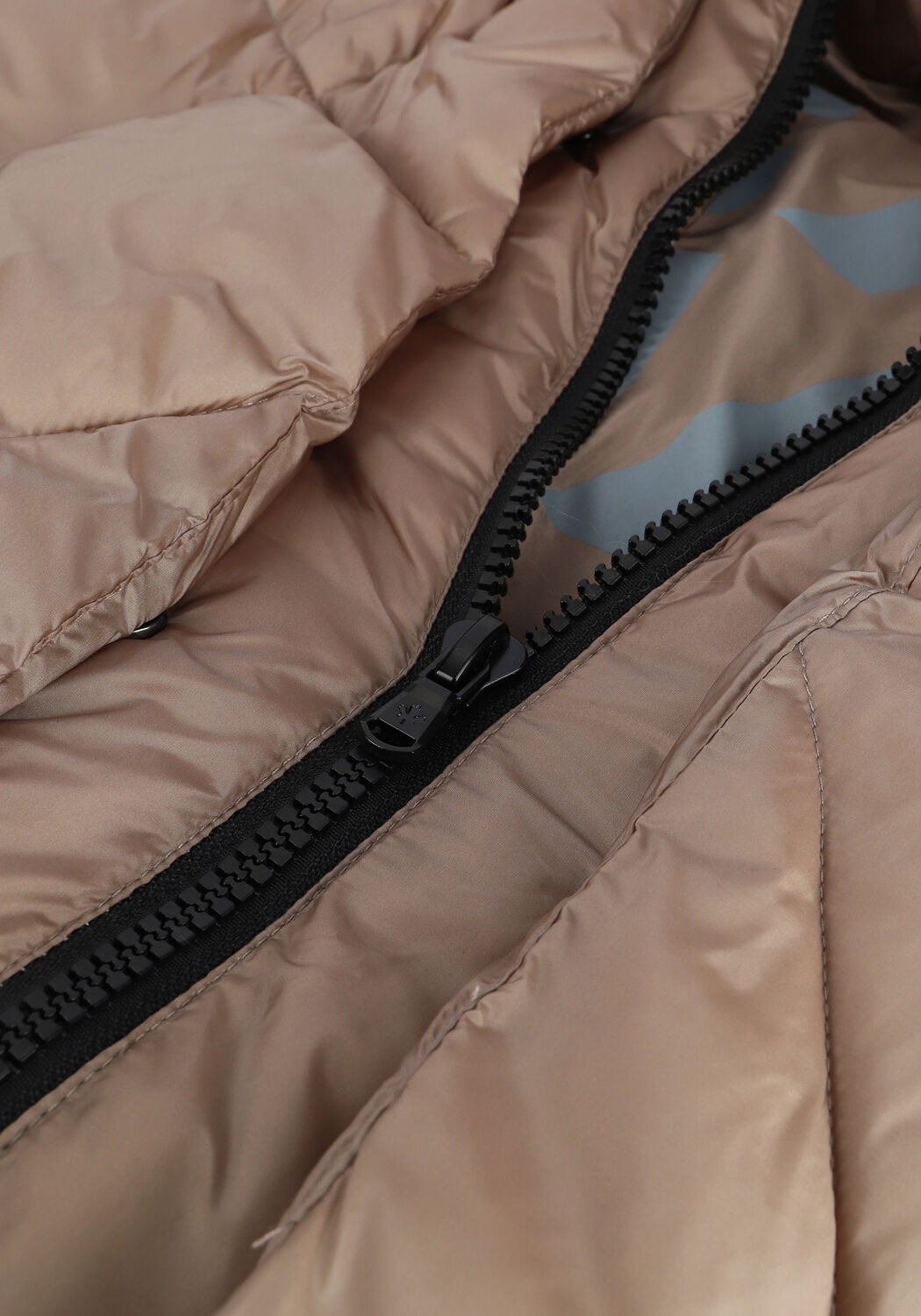 Taupe CANADIAN Wattierte Jack EUGENIE SHORT SAT - large