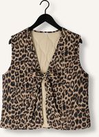 Graue CATWALK JUNKIE Bodywarmer PADDED BODY WARMER Graue CATWALK JUNKIE Bodywarmer PADDED BODY WARMER - medium