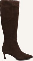 Braune STEVE MADDEN Hohe Stiefel LUCID Braune STEVE MADDEN Hohe Stiefel LUCID - medium
