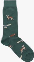 Grüne ALFREDO GONZALES Socken FOREST ANIMALS - medium
