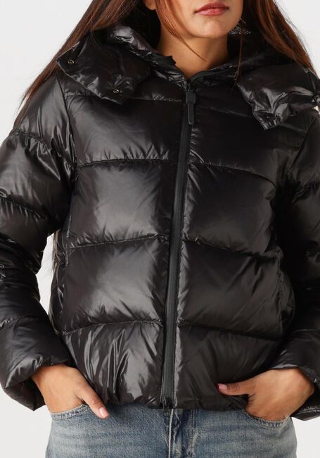 Schwarze PEUTEREY Wattierte Jack KENID - large