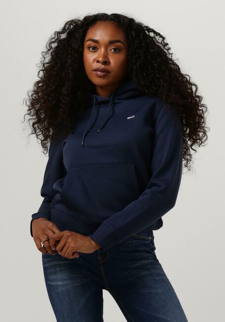 Blaue TOMMY JEANS Pullover TJW REGULAR FLEECE HOODIE - large