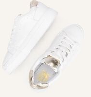 Weiße PS POELMAN Sneaker Low TITULAR Weiße PS POELMAN Sneaker Low TITULAR - medium