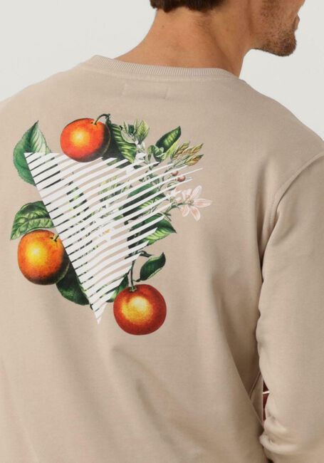 Sand PURE PATH Pullover CREWNECK WITH FNT AND BACK PRINT - large