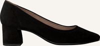 Schwarze PAUL GREEN Pumps 3806 Schwarze PAUL GREEN Pumps 3806 - medium