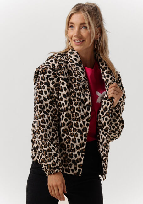 Braune REFINED DEPARTMENT Jack JAY - large