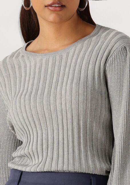 Graue NUKUS Pullover & Cardigans MULBERRY PULLOVER LUREX - large