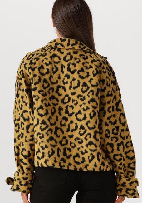 Ocker AMAYA AMSTERDAM Jack LOTUS - large