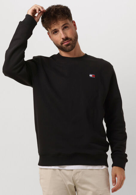 Schwarze TOMMY JEANS Pullover TJM REG BADGE CREW EXT - large