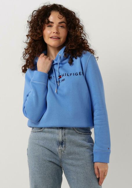 Blaue TOMMY HILFIGER Pullover REGULAR HILFIGER HOODIE - large