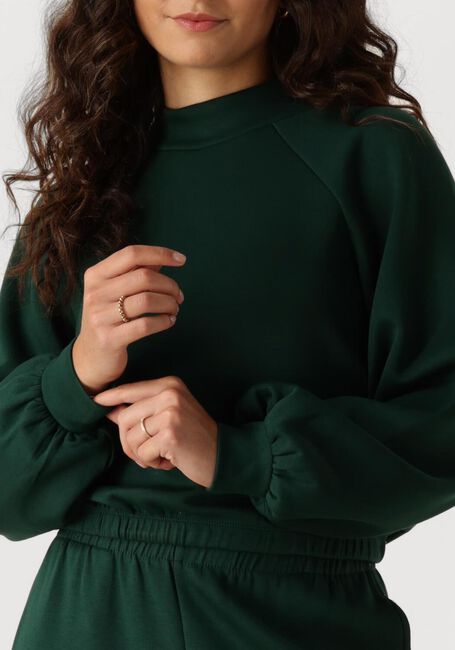 Grüne MSCH COPENHAGEN Sweatshirt MSCHEDILINA IMA Q SWEATSHIRT - large