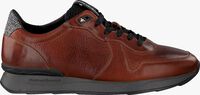 Cognacfarbene FLORIS VAN BOMMEL Sneaker low 16277 - medium