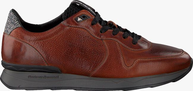 Cognacfarbene FLORIS VAN BOMMEL Sneaker low 16277 - large