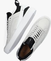 Graue BLACKSTONE Sneaker low XG88 - medium