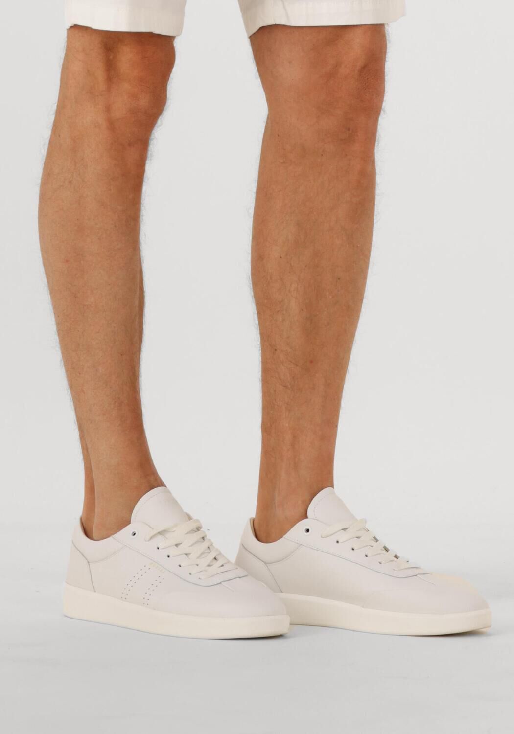 Beige CLAY Sneaker Low SHN3311 - large