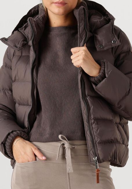 Taupe MOSCOW Wattierte Jack 12-08 BRANDY - large