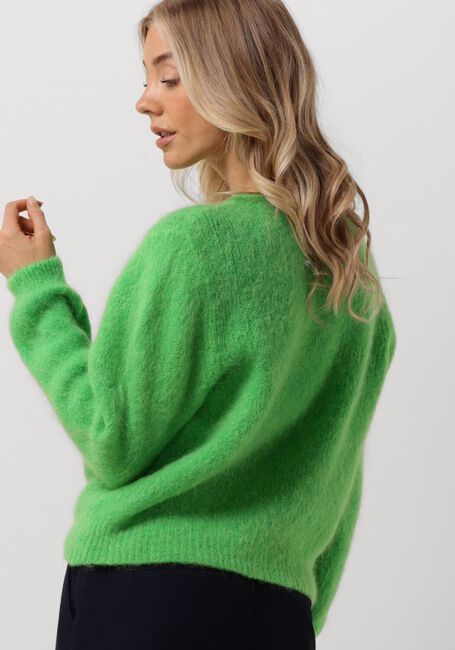Grüne AMERICAN DREAMS Strickjacke SUSAN ALPACA CARDIGAN - large