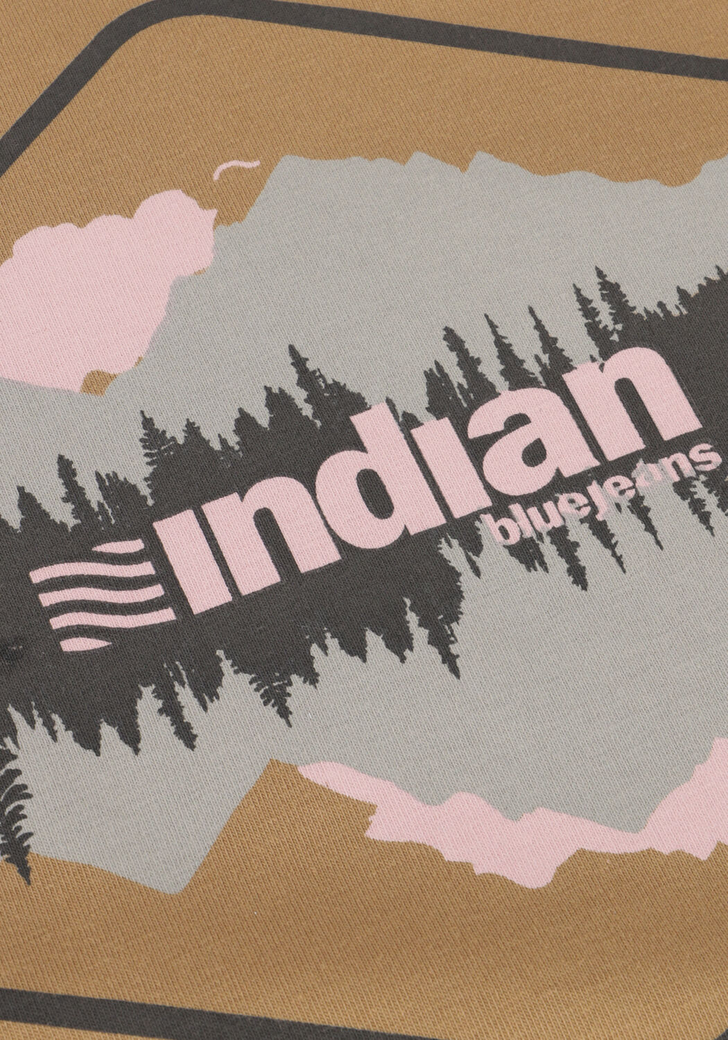 Camelfarbene INDIAN BLUE JEANS T-shirt T-SHIRT CHEST PRINT - large