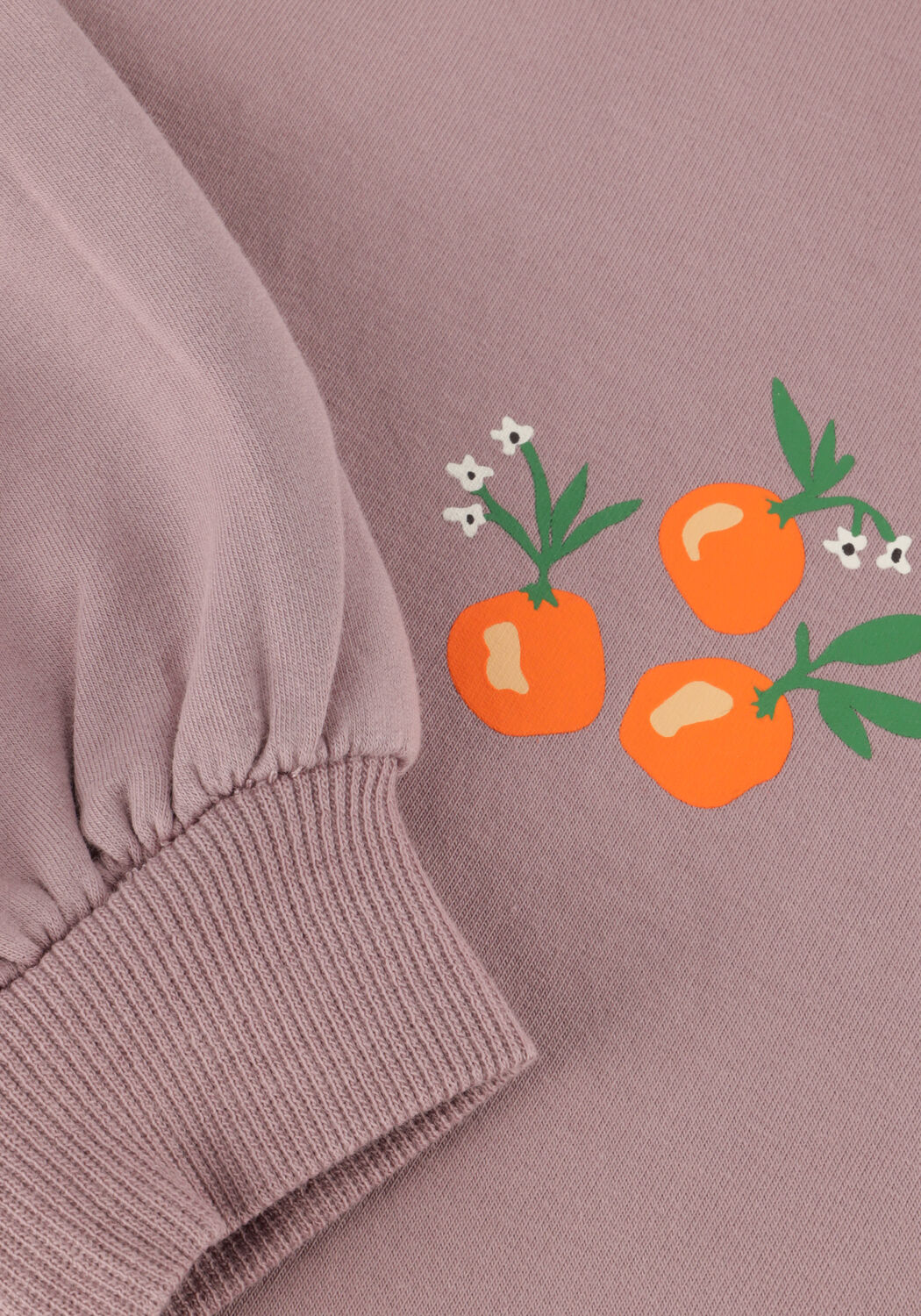 Lilane Z8 Sweatshirt VENETIA - large