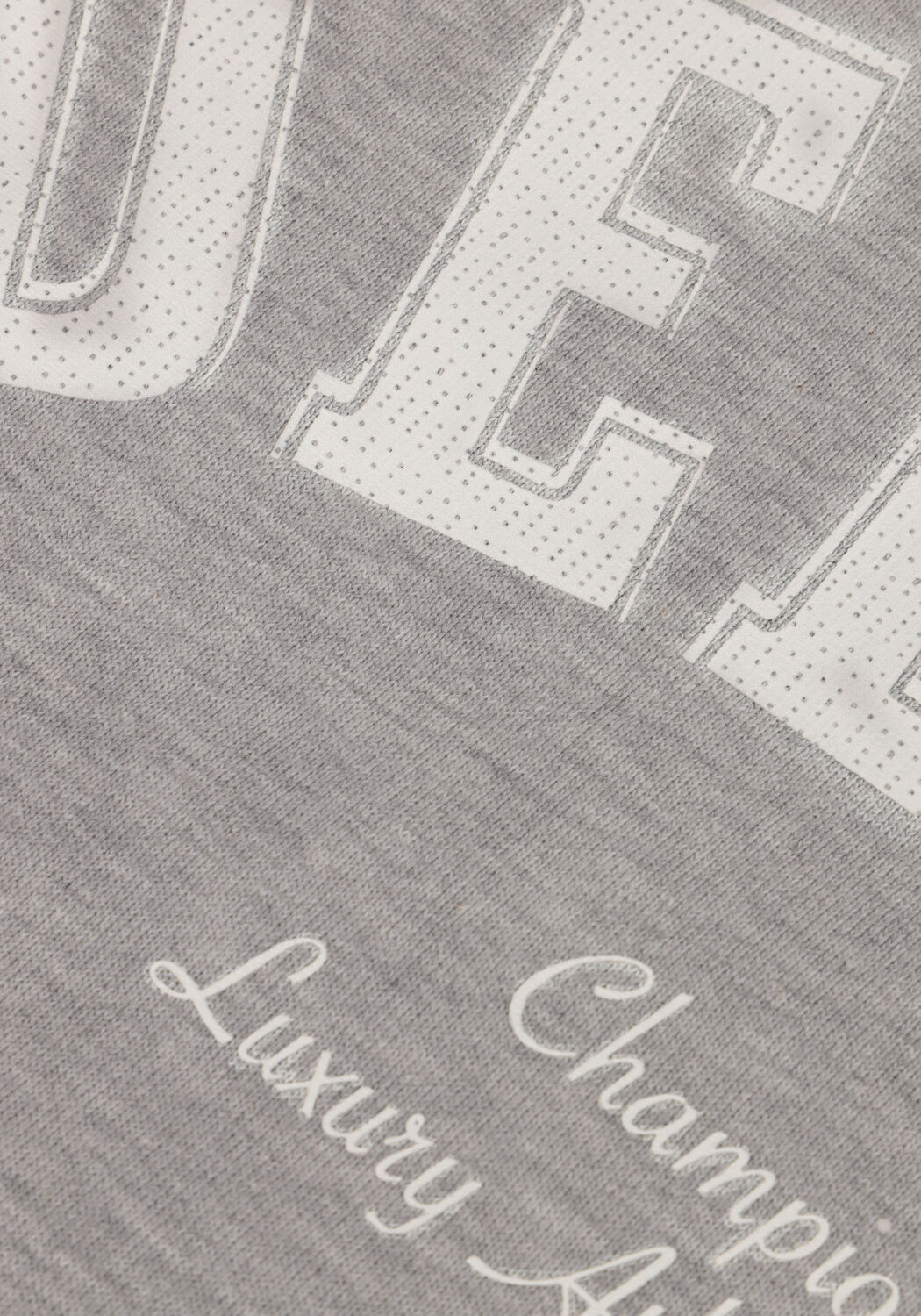 Graue DEBLON SPORTS Sweatshirt CIA SWEATER - large