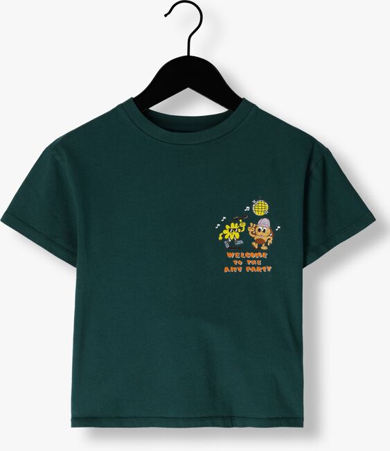 Dunkelgrün AMERICAN VINTAGE T-shirt FIZVALLEY - large