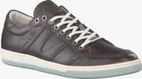 Braune VAN LIER Sneaker 7302 - medium