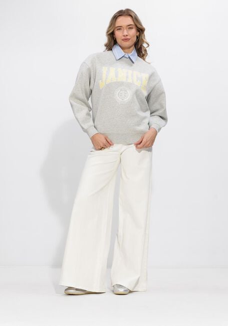 Graue JANICE Pullover & Cardigans OWEN - large