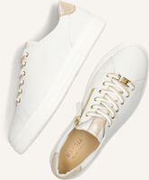 Weiße HASSIA Sneaker Low BARI Weiße HASSIA Sneaker Low BARI - medium