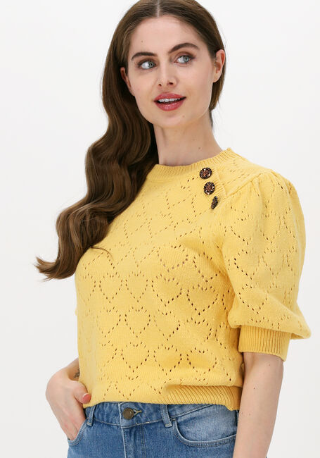 Gelbe FABIENNE CHAPOT Pullover DIANA PULLOVER - large