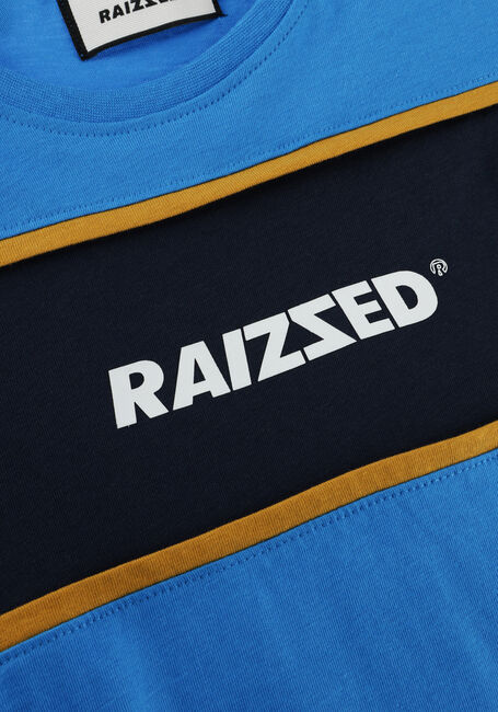 Blaue RAIZZED T-shirt SCOTTVILLE - large