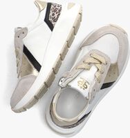 Weiße PINOCCHIO Sneaker low P1552 - medium