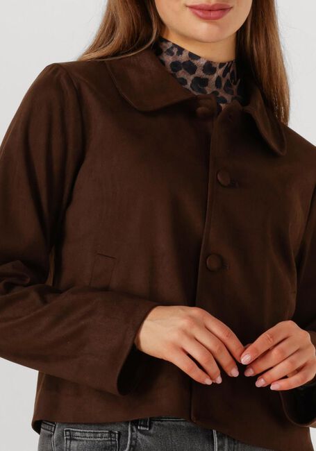 Braune NEO NOIR Jack NILO SUEDE JACKET - large