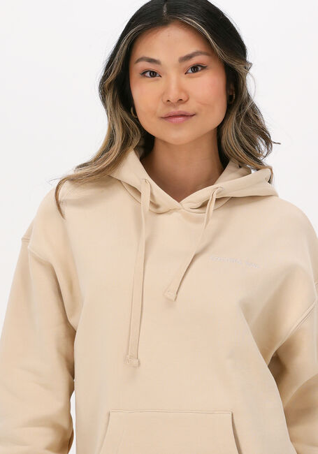 Beige COLOURFUL REBEL Sweatshirt GOLDEN SOUL OVERSIZED HOODIE - large