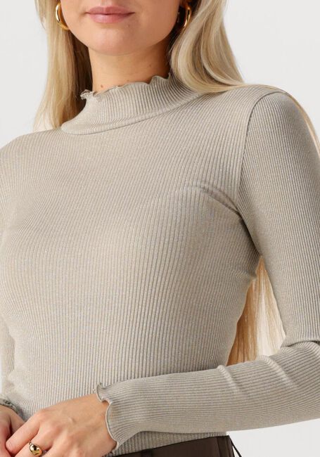 Sand ROSEMUNDE Top BOSTON TURTLENECK W/ LUREX - large