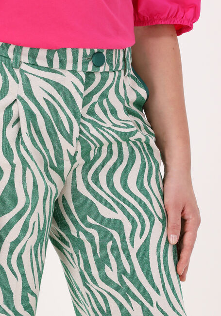 Grüne SILVIAN HEACH Hose BUZZIP - large