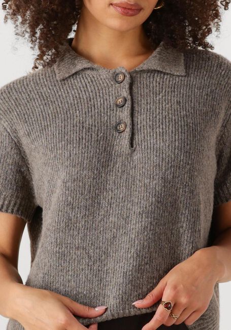 Graue MY ESSENTIAL WARDROBE Pullover PALOMAMW KNIT POLO SS - large