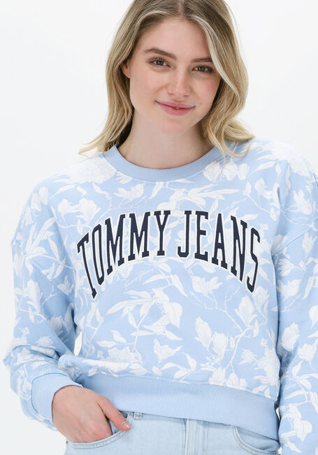 Hellblau TOMMY JEANS Pullover TJW AOP CREW - large