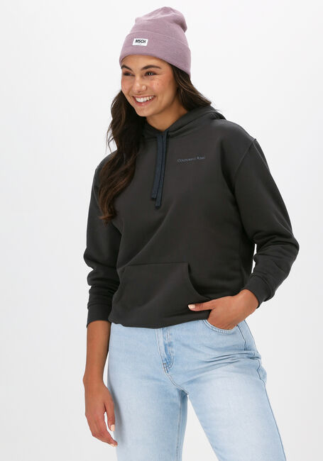 Graue COLOURFUL REBEL Sweatshirt UNI OVERSIZED HOODY - large