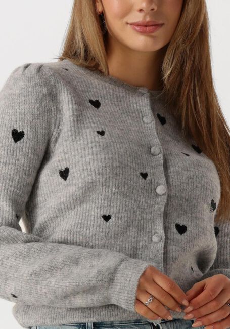 Graue FABIENNE CHAPOT Strickjacke LIDIA CARDIGAN - large