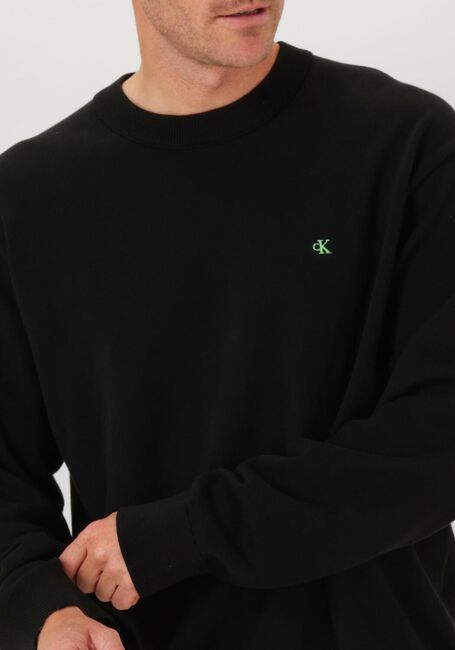 Schwarze CALVIN KLEIN Pullover LS EZ CORRON CREWNK SWEATER 12GG - large