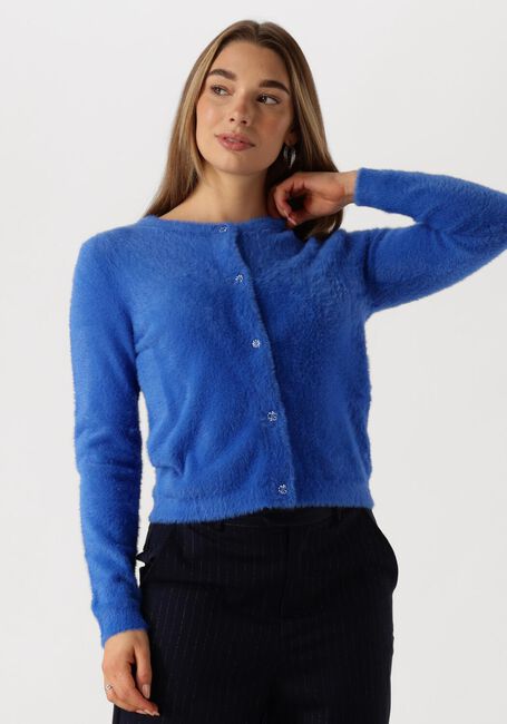 Blaue FABIENNE CHAPOT Strickjacke KATE CARDIGAN - large