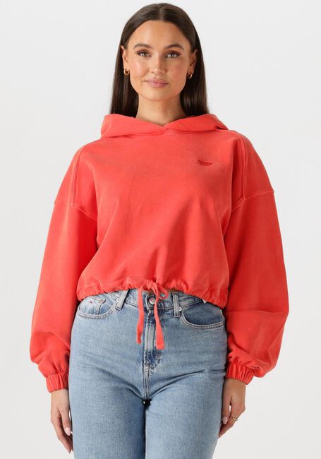 Rote TOMMY JEANS Sweatshirt TJW CRP GMD SCRIPT HOODIE - large
