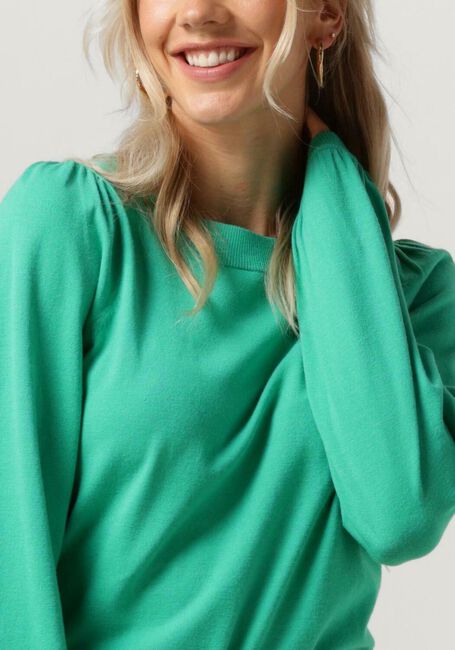 Grüne FABIENNE CHAPOT Pullover MILLY PULLOVER 233 - large