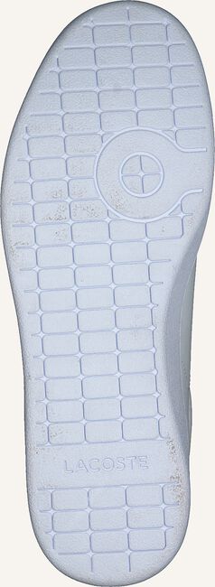 Weiße LACOSTE Sneaker Low CARNABY EVO DAMES Weiße LACOSTE Sneaker Low CARNABY EVO DAMES - large