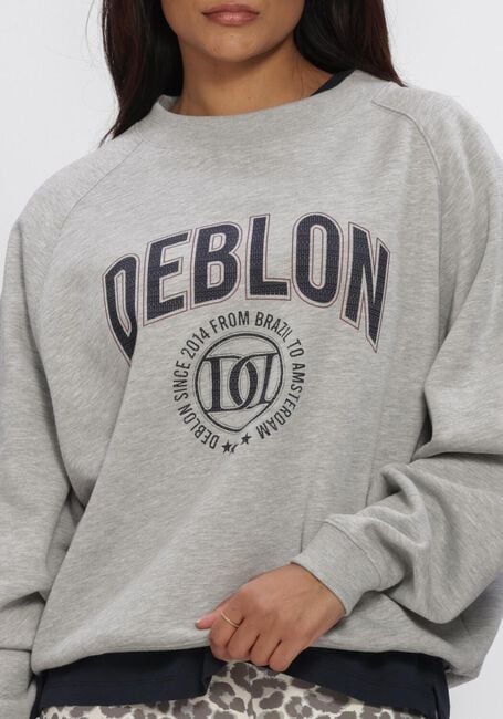 Graue DEBLON SPORTS Sweatshirt VIVE SWEATER - large